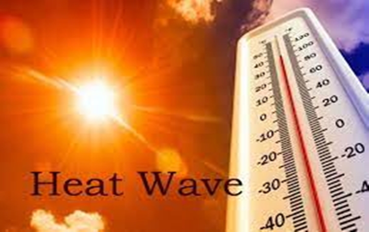 Heatwave To Severe Heatwave Conditions Over East & South Peninsular India For Next 5 Days: IMD