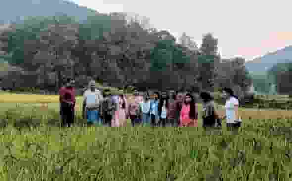 Stress-resilient native rice varieties discovered in Koraput valley
