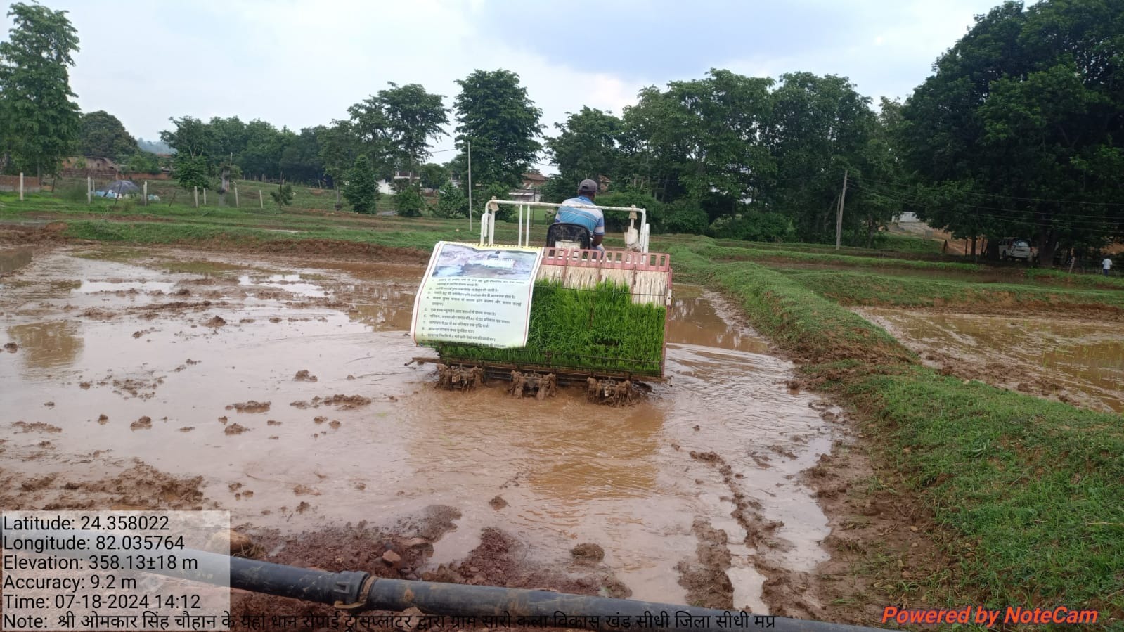 Sidhi News : सीधी जिले के किसान भाई कर रहे है राइस ट्रान्सप्लाटिंग से धान की रोपाई