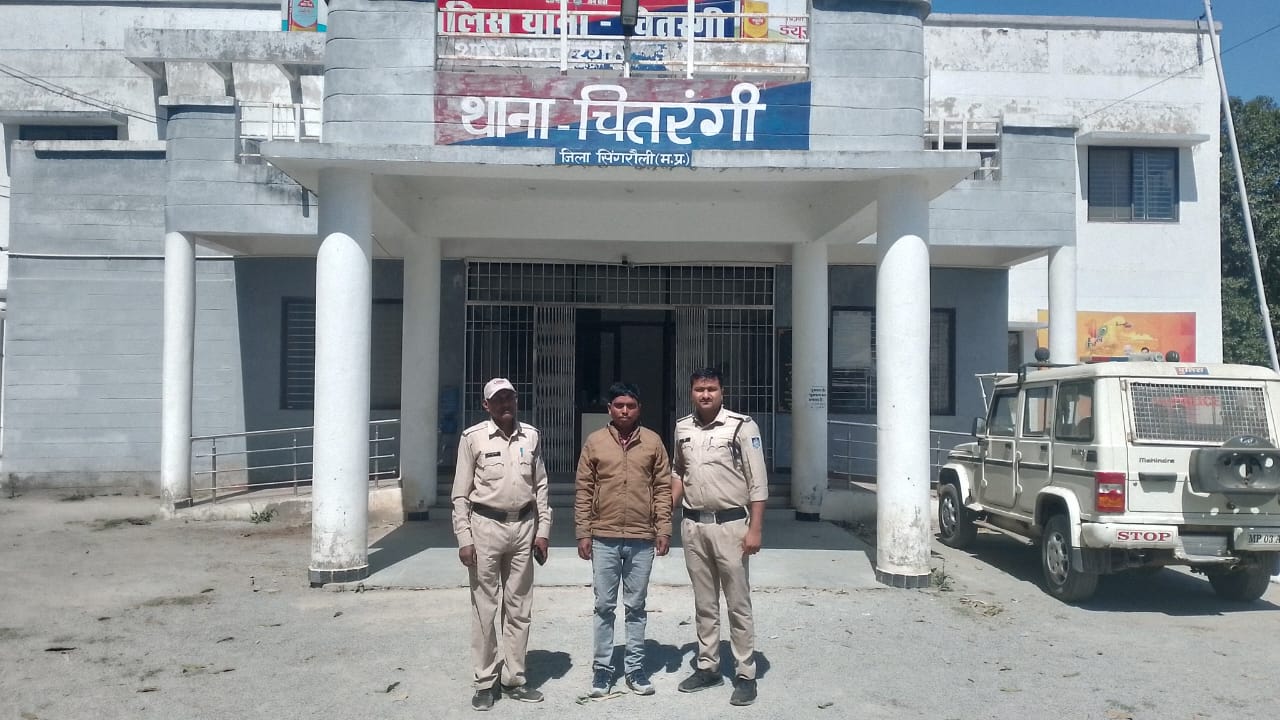 Singrauli News: भरण-पोषण की राशि न चुकाने वाले 06 आरोपियों को गिरफ्तार कर न्यायालय में किया गया पेश