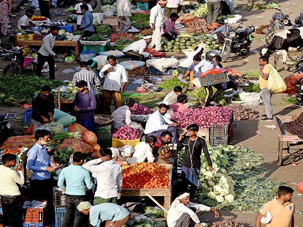 India’s wholesale inflation likely eased to 2% in February: UBI report