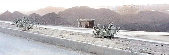 Singrauli News: गोदवाली में सड़क के किनारे तक लगा कोयले का ढेर, डस्ट से गांव के लोग त्रस्त