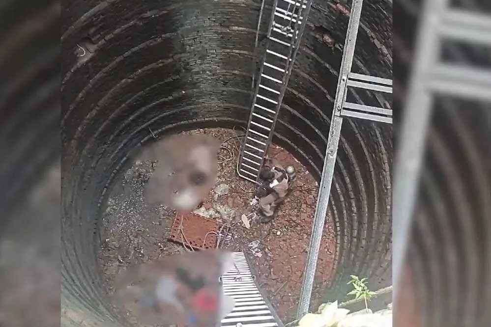 Singrauli News: सूखे कुए में उतरते समय होने वाली दुर्घटनाओं के रोकथाम हेतु एडवाईजारी जारी
