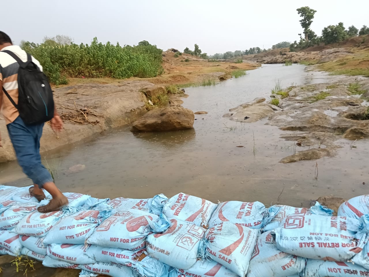 Singrauli News: आदर्श ग्राम पंचायत रजनिया में 260 बोरी का किया गया बंधान कार्य