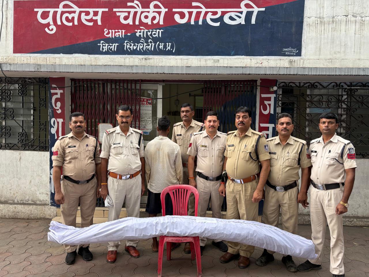 Singrauli News: घर के आंगन में लगा रखे थे गांजे के पेड़, गोरबी पुलिस ने पकड़ा