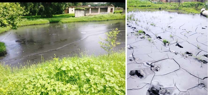 Singrauli News: महावीर कोल वाशरी से निकल रहे प्रदूषण से आसपास के जलाशयों में जमी कोयले का परत