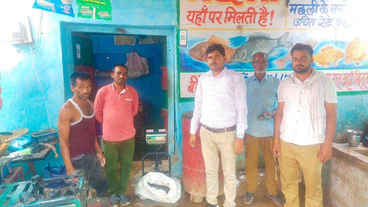 Sidhi News: प्रतिबंधित थाई मांगुर मछली जब्त कर विनष्टीकरण की कार्यवाही की गई