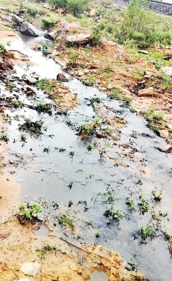Singrauli News: महावीर कोल वासरी के दूषित पानी से जमीनों हो रही 
