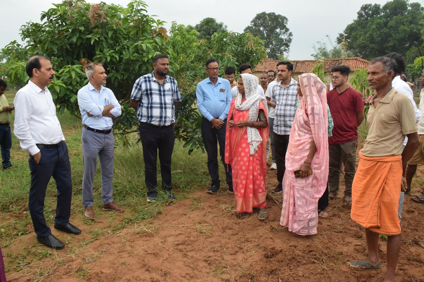 Singrauli News: गौड़बहरा में आजीविका मिशन द्वारा किए गए वृक्षारोपण स्थलों का कलेक्टर ने किया भ्रमण
