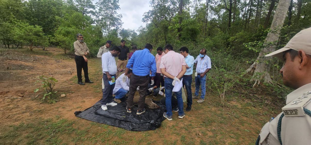 Sidhi News: संजय टाइगर रिजर्व में दो दिवसीय प्रशिक्षण कार्यक्रम आयोजित