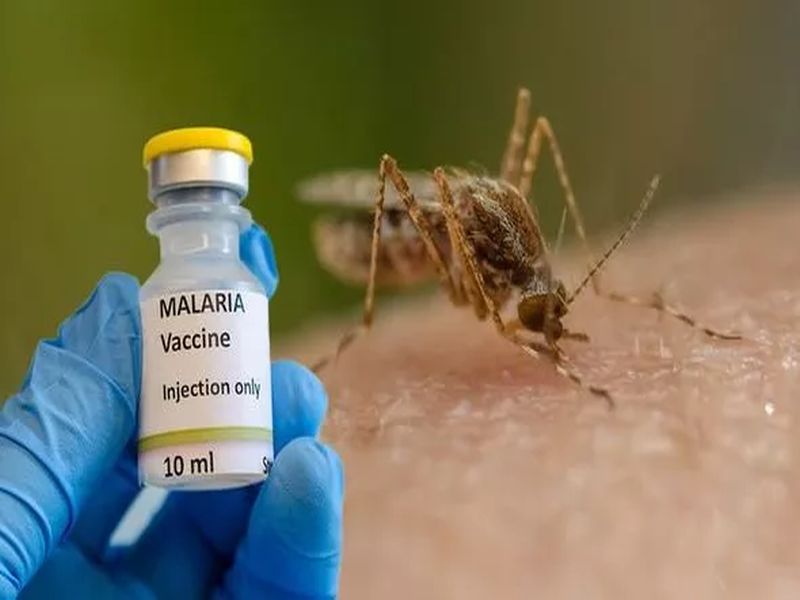 Malaria News: मलेरिया का टीका अब हर बच्चे की पहुंच में, कीमत आधी से भी कम, 2028 तक इतने रुपये में हो