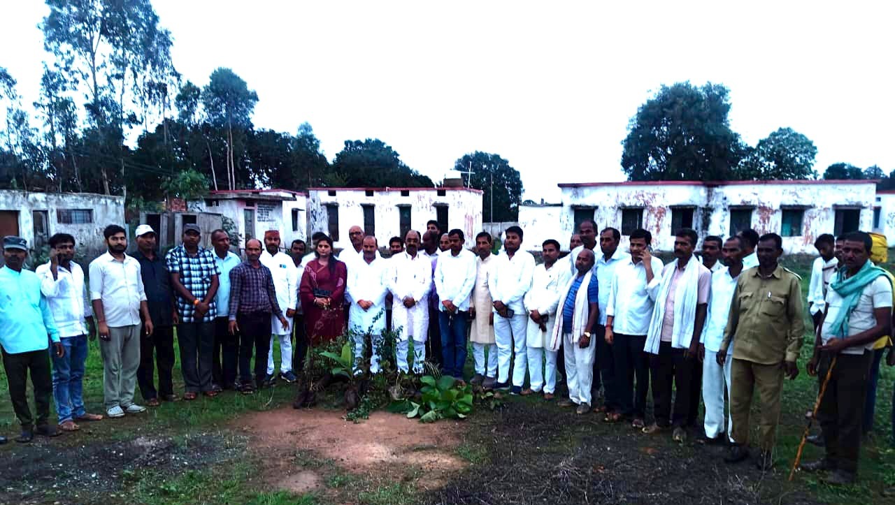 Singrauli News: 