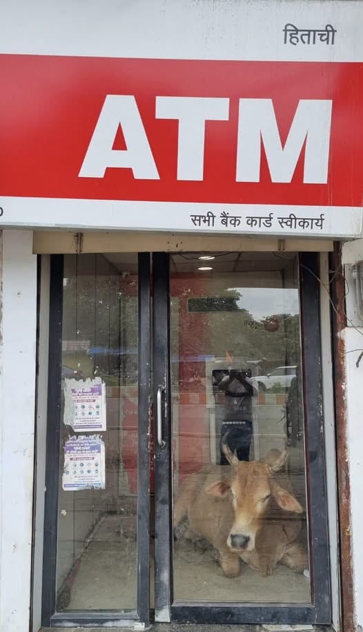 Singrauli News: सिंगरौली के एटीएम भगवान भरोसे, 24 घंटे सुविधा का दावा लेकिन सुरक्षा व्यवस्था कमजोर