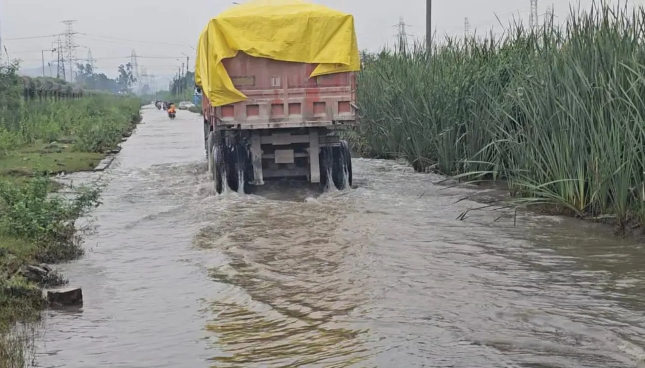 Singrauli News: बारिश में डूबा बैढ़न-शक्तिनगर मार्ग, घुटनों से ऊपर पानी; जान जोखिम में डालकर गुजर रह