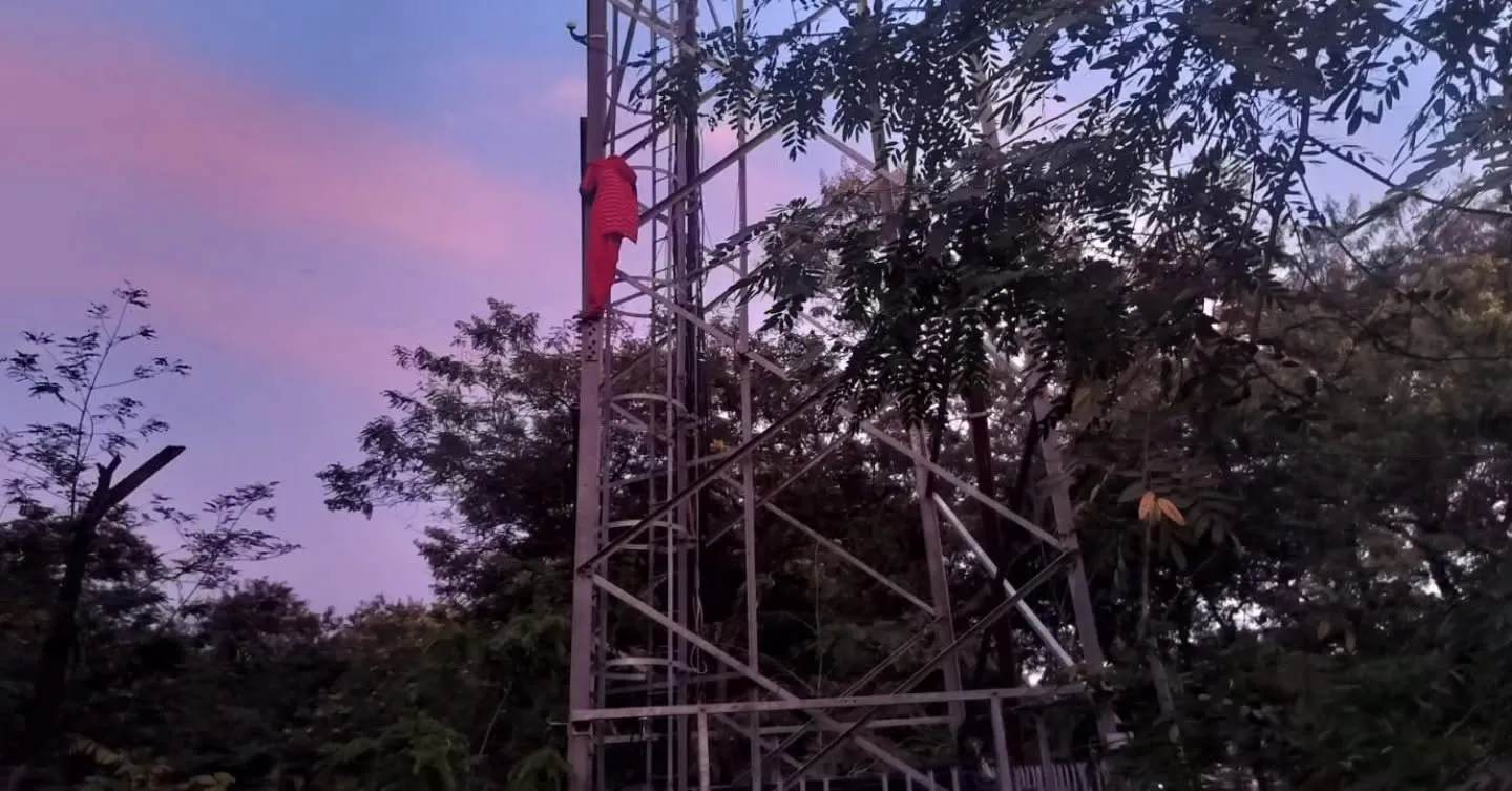 Singrauli News: प्रेम प्रसंग में नाराज युवती मोबाइल टावर पर चढ़ी, डेढ़ घंटे की मशक्कत के बाद सुरक्षि